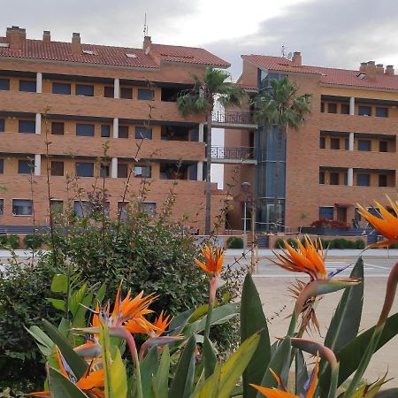 Apartamento En Deltebre Lo Delta Exteriör bild